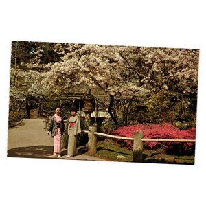 Vintage Postcard Japanese Tea Garden Golden Gate Park San Francisco Tourism Gift
